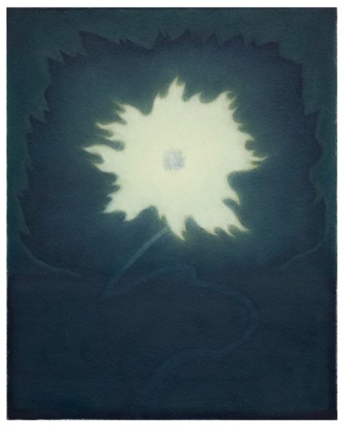 Justin Cole, Floral #12, 2025  Oil on panel. Cm 25x20 / 10x8 inches