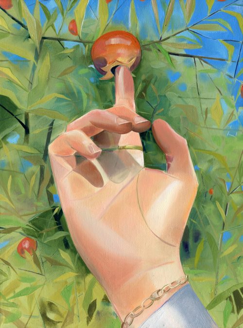 Pomegranate, 2024  Oil on canvas. 12x9 inches / 30x23 cm